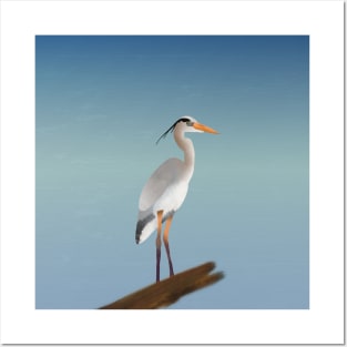 Heron Posters and Art